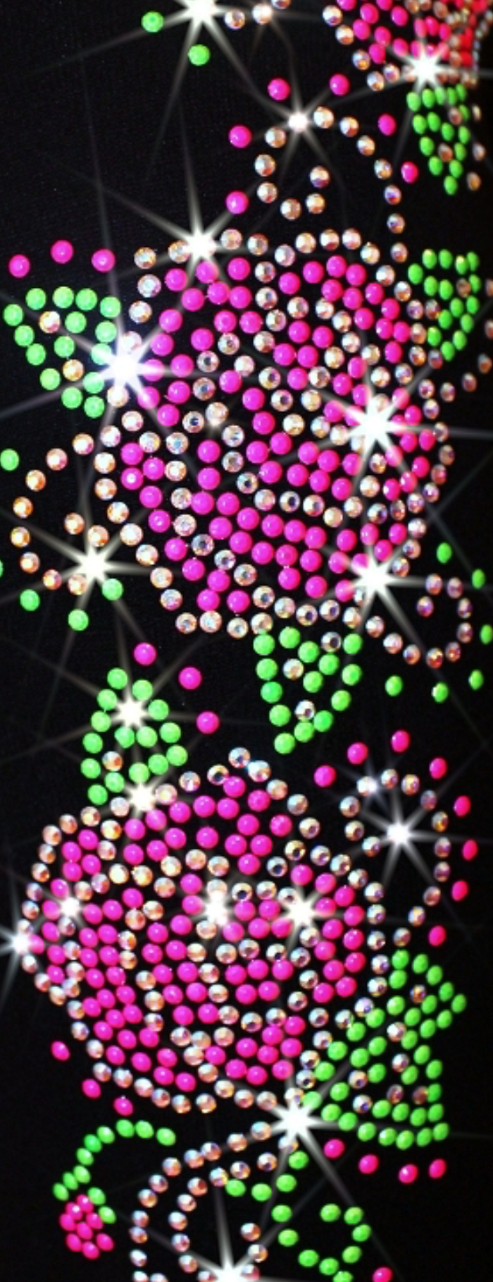 Roses Swirls - Girls Ice Skating Jacket