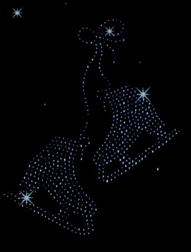 Pair of Skates - Jet Black -Girl Ice Skating Jacket