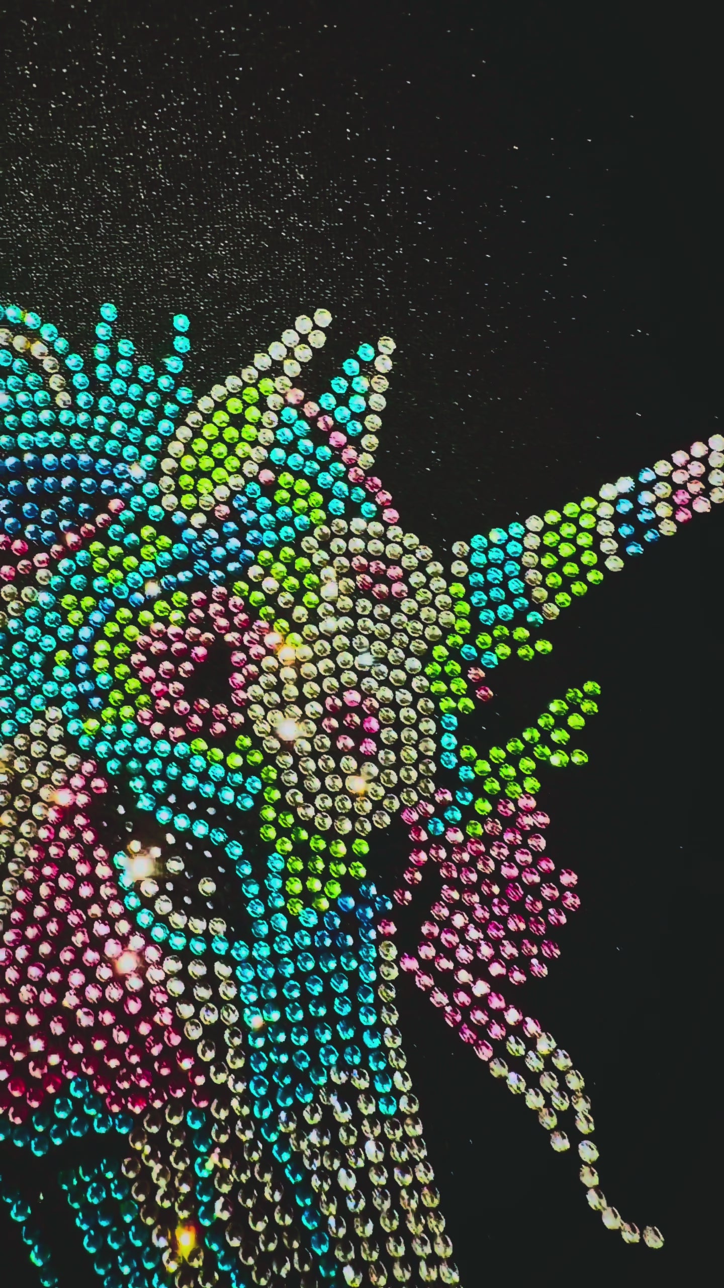 Ice Skating Jacket - Unicorn